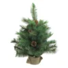 Northlight 2' Royal Oregon Pine Medium Artificial Christmas Tree In Burlap Base - Unlit