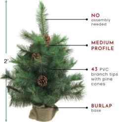 Northlight 2' Royal Oregon Pine Medium Artificial Christmas Tree In Burlap Base - Unlit -Chic Christmas Decoration northlight v15918 thumbnail 82117.1604542603