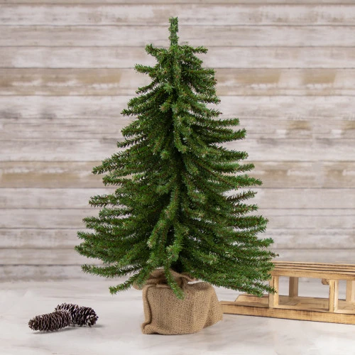 Northlight 2' Potted Downswept Mini Village Pine Medium Artificial Christmas Tree, Unlit 2 Northlight 2' Potted Downswept Mini Village Pine Medium Artificial Christmas Tree, Unlit - Image 2