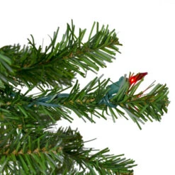 Northlight 6.5' Pre-Lit Canadian Pine Artificial Pencil Christmas Tree - Multi Lights -Chic Christmas Decoration northlight v27348 3 37518.1663773982