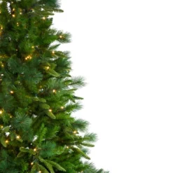 Northlight 6.5' Pre-Lit Rosemary Emerald Angel Pine Artificial Christmas Tree - Warm White LED Lights 9 Northlight 6.5' Pre-Lit Rosemary Emerald Angel Pine Artificial Christmas Tree - Warm White LED Lights -Chic Christmas Decoration northlight v27351 1 55681.1588355164