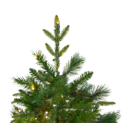 Northlight 6.5' Pre-Lit Rosemary Emerald Angel Pine Artificial Christmas Tree - Warm White LED Lights 5 Northlight 6.5' Pre-Lit Rosemary Emerald Angel Pine Artificial Christmas Tree - Warm White LED Lights - Image 5