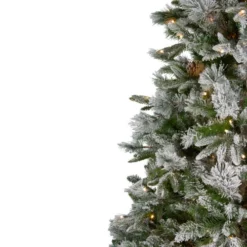 Northlight 7.5' Pre-Lit Flocked Rosemary Emerald Angel Pine Artificial Christmas Tree - Clear LED Lights 10 Northlight 7.5' Pre-Lit Flocked Rosemary Emerald Angel Pine Artificial Christmas Tree - Clear LED Lights -Chic Christmas Decoration northlight v27363 1 01777.1588355118