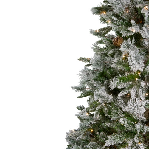 Northlight 6.5' Pre-Lit LED Full Mixed Rosemary Emerald Angel Pine Artificial Christmas Tree - Clear Lights 5 Northlight 6.5' Pre-Lit LED Full Mixed Rosemary Emerald Angel Pine Artificial Christmas Tree - Clear Lights - Image 5
