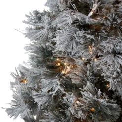 Northlight 7.5' Pre-Lit Full Black Spruce Artificial Christmas Tree - Clear LED Lights -Chic Christmas Decoration northlight v27372 2 37581.1588362215