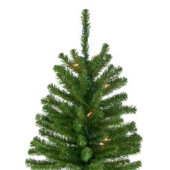 Northlight 6' Pre-Lit Pencil Alpine Artificial Christmas Tree, Clear Lights -Chic Christmas Decoration northlight v27436 2 53283.1665610430