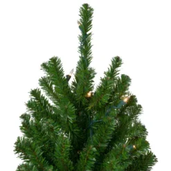 Northlight Set Of 3 Pre-Lit Slim Alpine Artificial Christmas Trees 6' - Clear Lights 7 Northlight Set Of 3 Pre-Lit Slim Alpine Artificial Christmas Trees 6' - Clear Lights -Chic Christmas Decoration northlight v27437 2updated 55998.1665610744