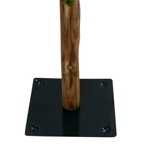 Northlight Set Of 3 Pre-Lit Slim Alpine Artificial Christmas Trees 6' - Clear Lights 5 Northlight Set Of 3 Pre-Lit Slim Alpine Artificial Christmas Trees 6' - Clear Lights - Image 5