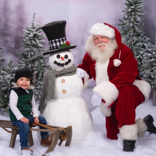 Northlight Set Of 3 Flocked Alpine Artificial Christmas Trees - Unlit 6 Northlight Set Of 3 Flocked Alpine Artificial Christmas Trees - Unlit - Image 6