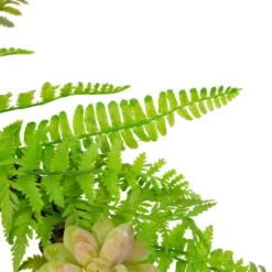 Northlight Succulents And Foliage Artificial Spring Twig Wreath, Green - 22-Inch -Chic Christmas Decoration northlight vm18922 2updated 31926.1623506662