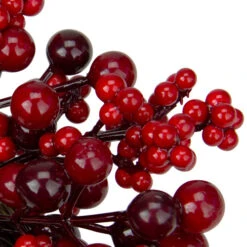 Northlight Mixed Berries Artificial Christmas Twig Wreath - 12 Inch, Unlit -Chic Christmas Decoration northlight vm26523 2 11564.1587644066