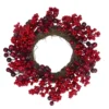Northlight Mixed Berries Artificial Christmas Twig Wreath - 12 Inch, Unlit