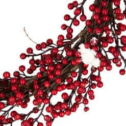 Northlight Red Berry With Frosted Accents Artificial Christmas Wreath, 18-Inch, Unlit -Chic Christmas Decoration northlight vm37740 02 16320.1691679746