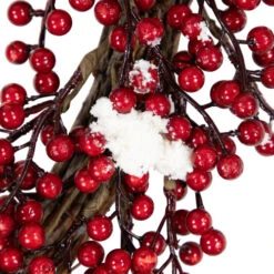 Northlight Red Berry With Frosted Accents Artificial Christmas Wreath, 18-Inch, Unlit -Chic Christmas Decoration northlight vm37740 03 32935.1691679746