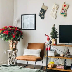 Northlight 24" Gray And Red Hanging Leg With Polka-Dot Snow Cap Smiling Gnome 9 Northlight 24" Gray And Red Hanging Leg With Polka-Dot Snow Cap Smiling Gnome -Chic Christmas Decoration northlight yj3628420a 3 cxpic 23625.1677579786