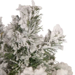 Northlight Set Of 3 Slim Flocked Alpine Artificial Christmas Trees 5' - Unlit 8 Northlight Set Of 3 Slim Flocked Alpine Artificial Christmas Trees 5' - Unlit -Chic Christmas Decoration northlight ynt775 fk 4 updated 35165.1657129358