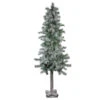 Northlight 5' Lightly Flocked And Glittered Woodland Alpine Artificial Christmas Tree, Unlit