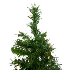 Northlight 2' Pre-Lit Medium Royal Pine Artificial Christmas Tree - Clear Lights -Chic Christmas Decoration northlight z00021 3 36827.1665610741
