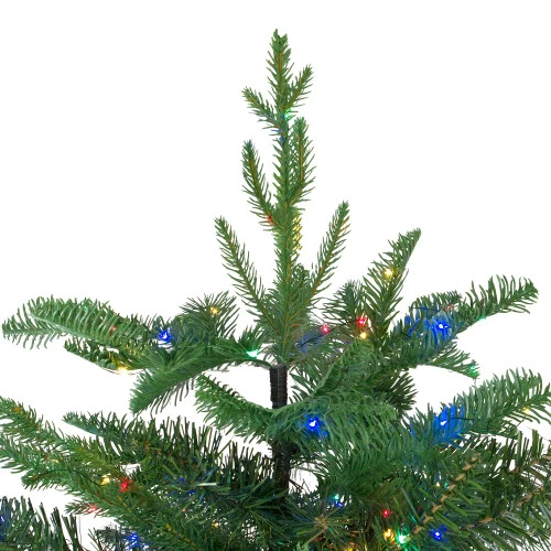 Northlight 7.5' Pre-Lit Medium Ashland Sitka Spruce Artificial Christmas Tree - Multicolor LED Lights 5 Northlight 7.5' Pre-Lit Medium Ashland Sitka Spruce Artificial Christmas Tree - Multicolor LED Lights - Image 5