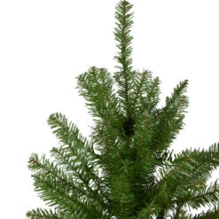 Northlight 4' Northern Pine Medium Artificial Christmas Tree, Unlit -Chic Christmas Decoration northlight z84469 2update 92168.1665087479