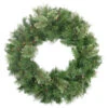 Northlight Pre-Lit Mixed Cashmere Pine Artificial Christmas Wreath - 24-Inch, Multi Lights