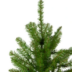 Northlight 6.5' Northern Pine Full Artificial Christmas Tree, Unlit -Chic Christmas Decoration northlight z84652 2 32992.1665610743