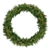 Northlight Pre-Lit Dakota Red Pine Commercial Artificial Christmas Wreath - 60-Inch, Warm White LED Lights