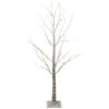 Northlight 4' Pre-Lit LED White Birch Tree Outdoor Decoration - White Lights
