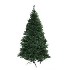 Northlight 9.5' Buffalo Fir Full Artificial Christmas Tree - Unlit