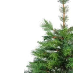 Northlight 3' Potted New Carolina Spruce Medium Artificial Christmas Tree - Unlit -Chic Christmas Decoration sizueobn2mf7pj7trpis4u3dkcb3ettz 19805.1665610422