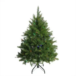 Northlight 4' Pre-Lit Full Northern Pine Artificial Christmas Tree - Multicolor LED Lights
