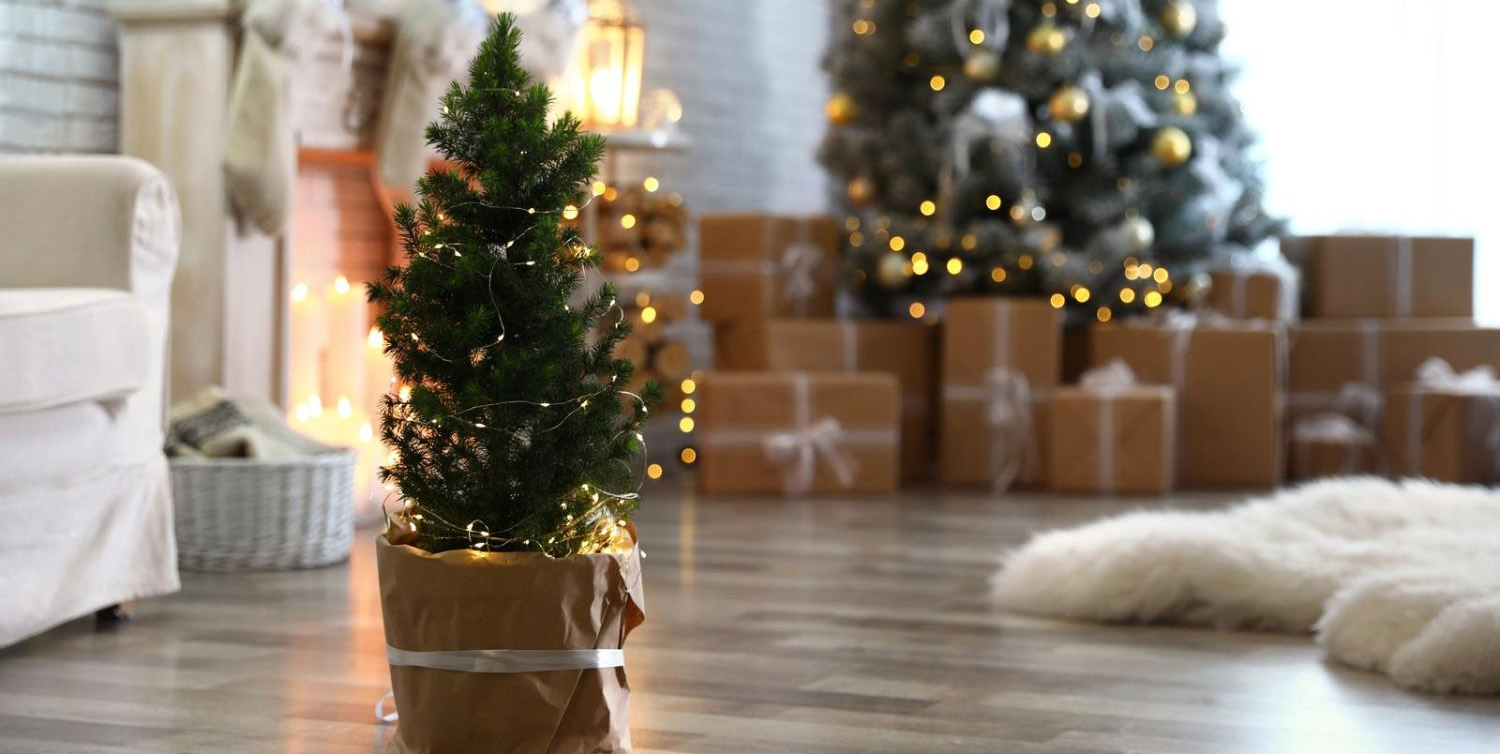 Chic Christmas Decoration 1 Chic Christmas Decoration -Chic Christmas Decoration 1